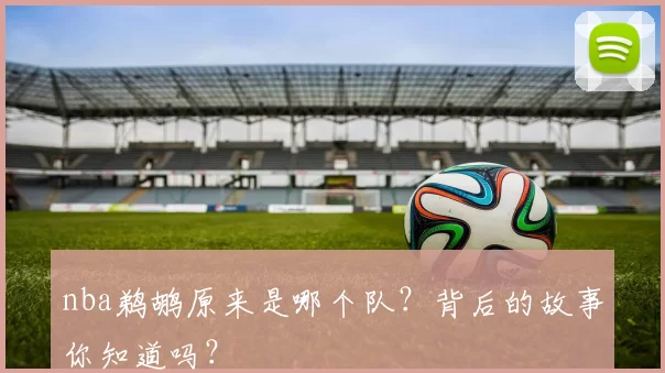 nba鹈鹕原来是哪个队？背后的故事你知道吗？