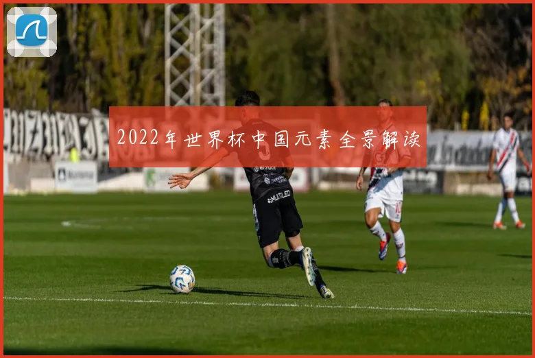 2022年世界杯中国元素全景解读